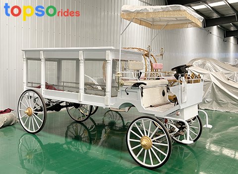 Electric Hearse