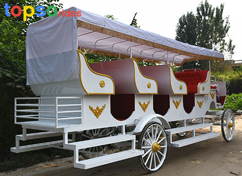 large capacity sightseeing horse carriage